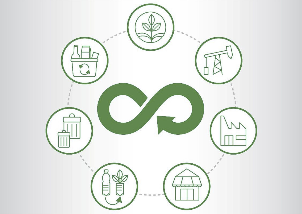 Économie Circulaire Management Responsable