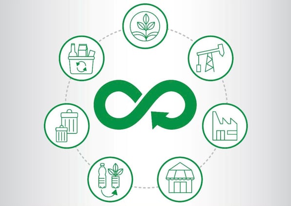 Économie Circulaire Management Responsable