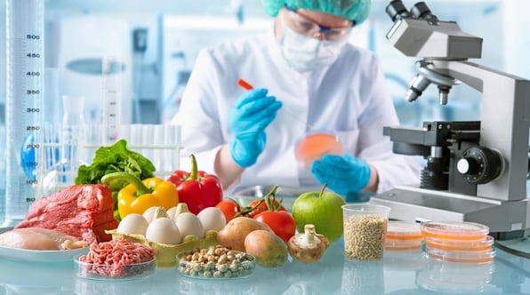 Food Security, Element Of Moroccan Soft Power