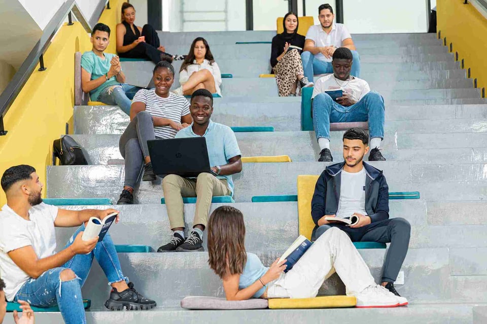 Licence, licence professionnelle, quelles différences  2
