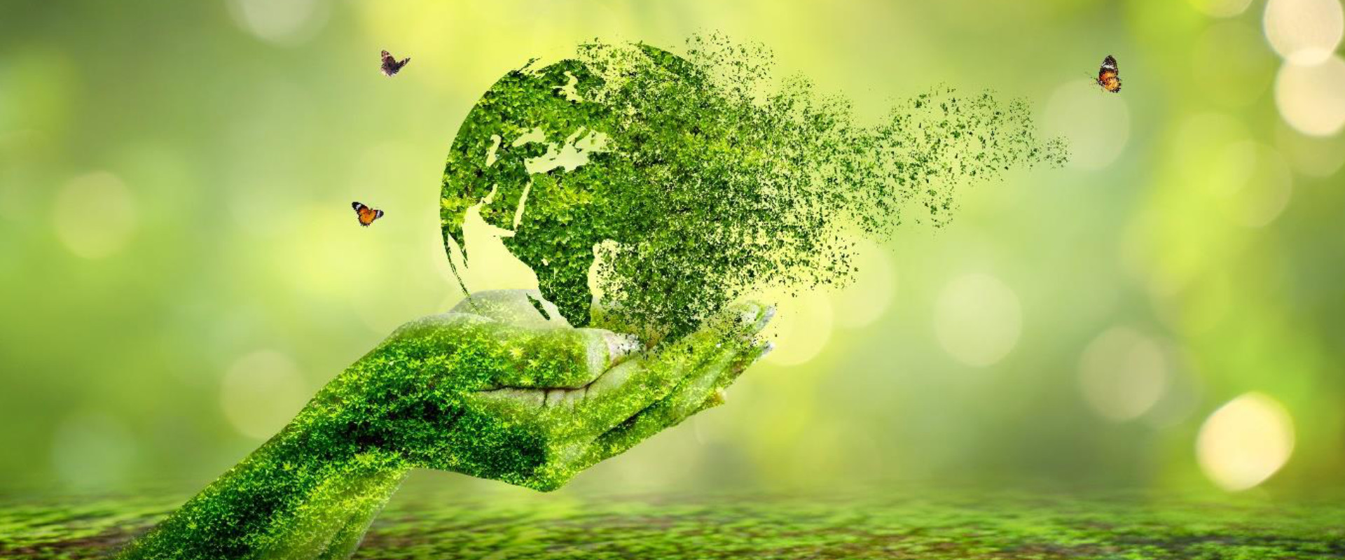 97th International Scientific Conference on Economic and Social Development - 