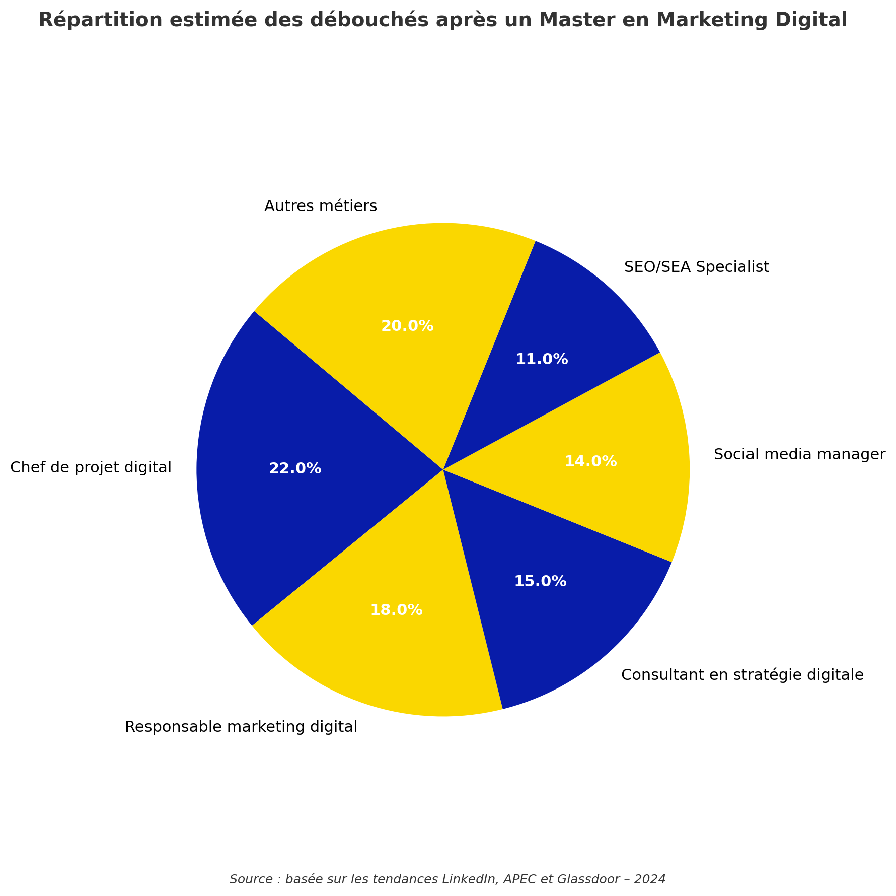 master marketing digital débouchés statistiques